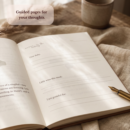 Pregnancy Journal